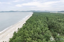 우전해수욕장 관광 정보와 주변 관광 명소 및 근처 맛집 여행 정보