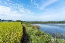 신송지 레저스포츠 정보와 주변 관광 명소 및 근처 맛집 여행 정보