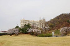 서포칼국수 - 주변 여행 및 근처 관광 명소 - 국내 여행 정보와 관광 명소 정보