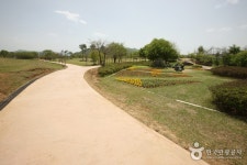 全谷里遺跡土層（漢灘江国家地質公園）（전곡리 유적 토층 (한탄강 국가지질공원) ） - 観光 - 韓国旅行・観光情報