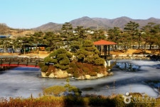 세종특별자치시 관광 정보와 주변 관광 명소 및 근처 맛집 여행 정보