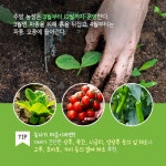 [여행 카드] 주말엔 농장으로 가요 - 최신기사 | 구석구석 떠나볼까 | 대한민국구석구석