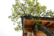 梅花樹屋[韓國觀光品質認證/Korea Quality]매화나무집[한국관광 품질인증/Korea Quality] - 住宿 - 韓國旅行和旅遊信息