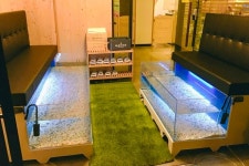 카페라미닥 음식점 정보와 주변 관광 명소 및 근처 맛집 여행 정보