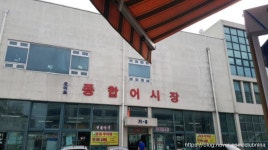 오이도 음식문화거리 - 주변 여행 및 근처 관광 명소 - 국내 여행 정보와 관광 명소 정보