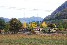 신대리마을 - 주변 여행 및 근처 관광 명소 - 국내 여행 정보와 관광 명소 정보