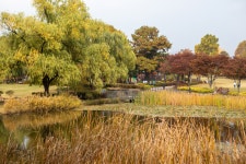 龍山家族公園（용산가족공원） - 観光 - 韓国旅行・観光情報