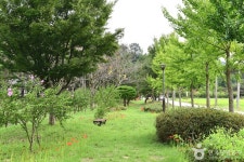 영광불갑테마공원 관광 정보와 주변 관광 명소 및 근처 맛집 여행 정보