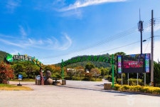 장흥 어산리 푸조나무 - 주변 여행 및 근처 관광 명소 - 국내 여행 정보와 관광 명소 정보