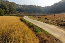 [평화누리길 9코스] 율곡길 레저스포츠 정보와 주변 관광 명소 및 근처 맛집 여행 정보