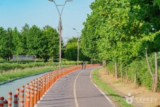 구리한강시민공원(코스모스공원) 관광 정보와 주변 관광 명소 및 근처 맛집 여행 정보