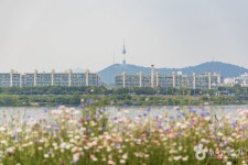 반포 서래섬 - 주변 여행 및 근처 관광 명소 - 국내 여행 정보와 관광 명소 정보