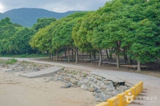 남성리해수욕장 관광 정보와 주변 관광 명소 및 근처 맛집 여행 정보