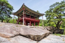 함양 동호정 관광 정보와 주변 관광 명소 및 근처 맛집 여행 정보