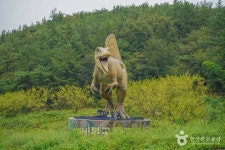 하늘누리 - 주변 여행 및 근처 관광 명소 - 국내 여행 정보와 관광 명소 정보