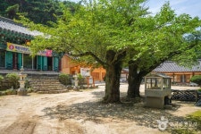 운흥사(대구) 관광 정보와 주변 관광 명소 및 근처 맛집 여행 정보