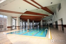陽智パインリゾートスキー場（양지파인리조트 스키장） - レジャー - 韓国旅行・観光情報