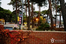 Chodang Dubu Village (초당두부마을) - Sightseeing - Korea travel and tourism information