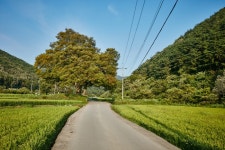 Mujidori Village (Muju Farm Village) (무지돌이마을) - Sightseeing - Korea travel and tourism information