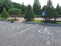  버스  여주 강천섬 은행나무길   구룡사   황학산수목원   농촌체험 (당일) : 인터파크투어 