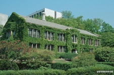 서울 연세대학교 스팀슨관 관광 정보와 주변 관광 명소 및 근처 맛집 여행 정보