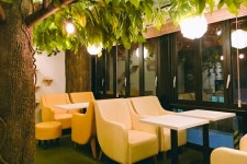 카페라미닥 음식점 정보와 주변 관광 명소 및 근처 맛집 여행 정보