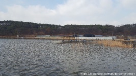 금이낚시터 레저스포츠 정보와 주변 관광 명소 및 근처 맛집 여행 정보