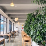 커피나무숲 음식점 정보와 주변 관광 명소 및 근처 맛집 여행 정보
