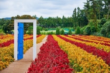 탱귤탱꿀 관광 정보와 주변 관광 명소 및 근처 맛집 여행 정보