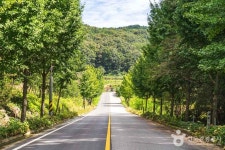 비암사 도깨비도로 관광 정보와 주변 관광 명소 및 근처 맛집 여행 정보