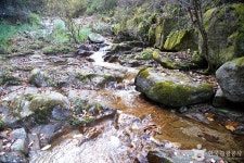 농가맛집토요 - 주변 여행 및 근처 관광 명소 - 국내 여행 정보와 관광 명소 정보