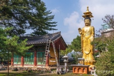 단호사(충주) 관광 정보와 주변 관광 명소 및 근처 맛집 여행 정보