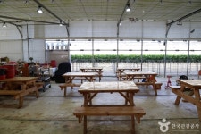 별마을딸기체험농장 관광 정보와 주변 관광 명소 및 근처 맛집 여행 정보