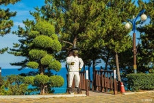 이사부사자공원&그림책 나라 관광 정보와 주변 관광 명소 및 근처 맛집 여행 정보