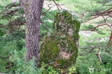 왕피천숲속캠핑장 - 주변 여행 및 근처 관광 명소 - 국내 여행 정보와 관광 명소 정보