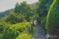 숲쟁이공원 관광 정보와 주변 관광 명소 및 근처 맛집 여행 정보