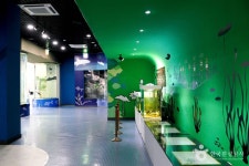 고성생태학습관 문화 정보와 주변 관광 명소 및 근처 맛집 여행 정보