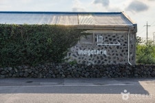 인디고트리 음식점 정보와 주변 관광 명소 및 근처 맛집 여행 정보