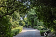 장사도해상공원 까멜리아 관광 정보와 주변 관광 명소 및 근처 맛집 여행 정보