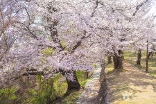 비봉내마을 농촌관광 코스 [웰촌] - 주변 여행 및 근처 관광 명소 - 국내 여행 정보와 관광 명소 정보
