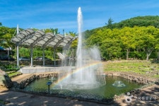 산채식당 - 주변 여행 및 근처 관광 명소 - 국내 여행 정보와 관광 명소 정보