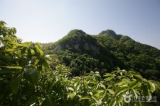 Seosan Palbongsan Mountain (팔봉산(서산)) - Sightseeing - Korea travel and tourism information
