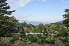매산관광농원 관광 정보와 주변 관광 명소 및 근처 맛집 여행 정보