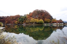밀양189 야영장 - 주변 여행 및 근처 관광 명소 - 국내 여행 정보와 관광 명소 정보