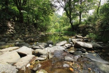 호두나무캠핑장 레저스포츠 정보와 주변 관광 명소 및 근처 맛집 여행 정보