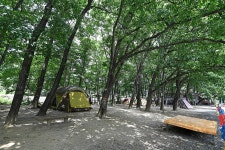 삼장사지 삼층석탑 - 주변 여행 및 근처 관광 명소 - 국내 여행 정보와 관광 명소 정보