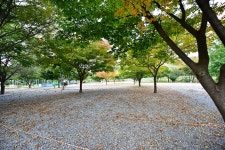 솔밭펜션캠핑장 - 주변 여행 및 근처 관광 명소 - 국내 여행 정보와 관광 명소 정보