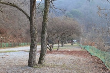 주천강자연휴양림캠핑장 레저스포츠 정보와 주변 관광 명소 및 근처 맛집 여행 정보