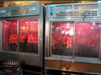 털보네바베큐 미사동본점 음식점 정보와 주변 관광 명소 및 근처 맛집 여행 정보