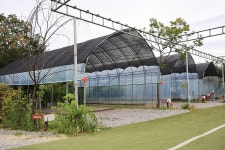 벨하우스 레저스포츠 정보와 주변 관광 명소 및 근처 맛집 여행 정보